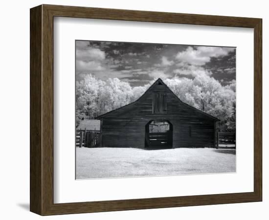 Barn, Dothan, Alabama-Carol Highsmith-Framed Premium Giclee Print