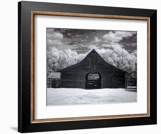 Barn, Dothan, Alabama-Carol Highsmith-Framed Premium Giclee Print