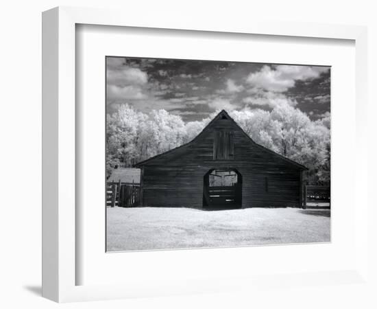 Barn, Dothan, Alabama-Carol Highsmith-Framed Premium Giclee Print