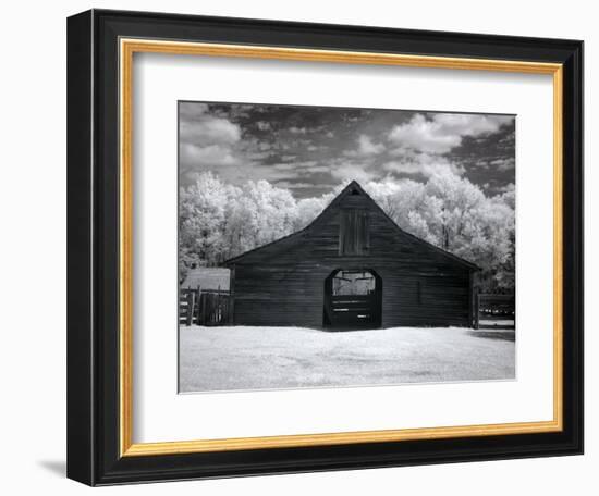 Barn, Dothan, Alabama-Carol Highsmith-Framed Premium Giclee Print