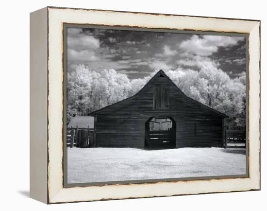 Barn, Dothan, Alabama-Carol Highsmith-Framed Stretched Canvas