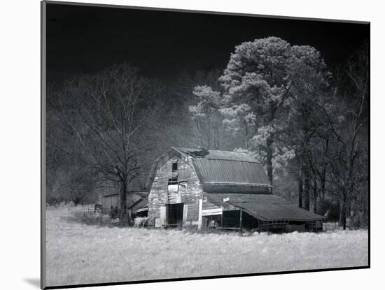 Barn, Dothan, Alabama-Carol Highsmith-Mounted Art Print