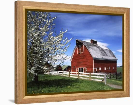 Barn, Ellensburg, Washington, USA-Charles Gurche-Framed Premier Image Canvas