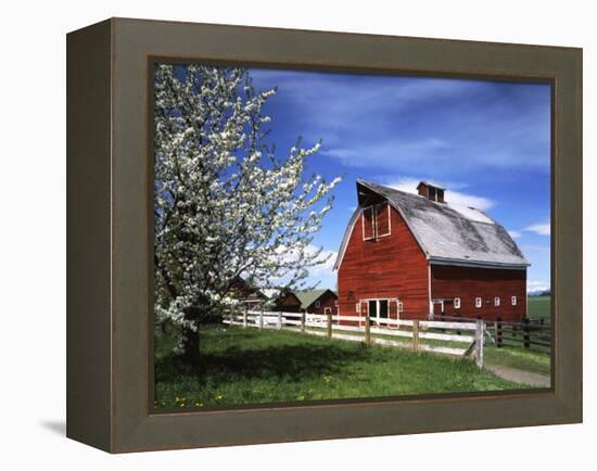 Barn, Ellensburg, Washington, USA-Charles Gurche-Framed Premier Image Canvas