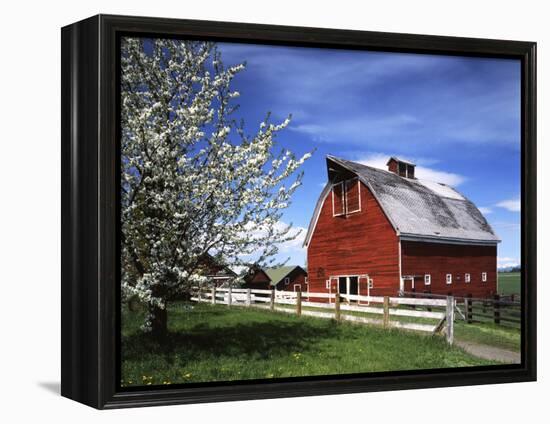 Barn, Ellensburg, Washington, USA-Charles Gurche-Framed Premier Image Canvas