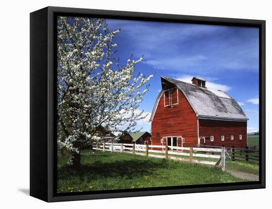 Barn, Ellensburg, Washington, USA-Charles Gurche-Framed Premier Image Canvas