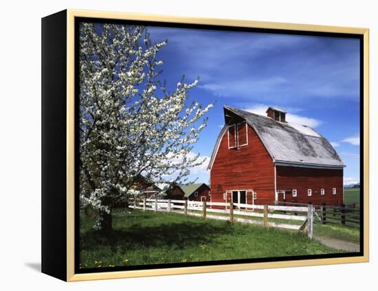 Barn, Ellensburg, Washington, USA-Charles Gurche-Framed Premier Image Canvas