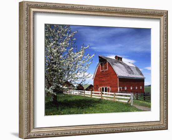 Barn, Ellensburg, Washington, USA-Charles Gurche-Framed Premium Photographic Print