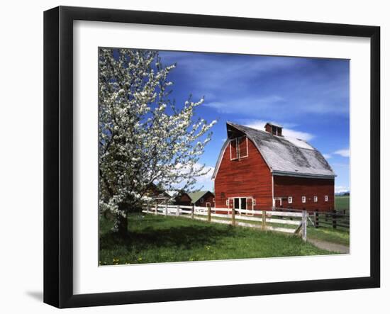 Barn, Ellensburg, Washington, USA-Charles Gurche-Framed Premium Photographic Print