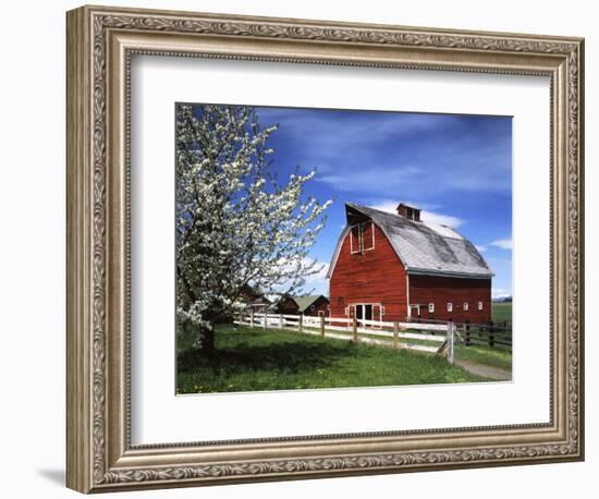 Barn, Ellensburg, Washington, USA-Charles Gurche-Framed Photographic Print