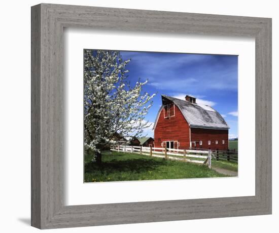 Barn, Ellensburg, Washington, USA-Charles Gurche-Framed Photographic Print