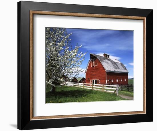 Barn, Ellensburg, Washington, USA-Charles Gurche-Framed Photographic Print