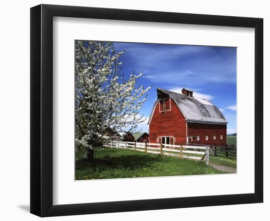 Barn, Ellensburg, Washington, USA-Charles Gurche-Framed Photographic Print