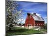 Barn, Ellensburg, Washington, USA-Charles Gurche-Mounted Photographic Print