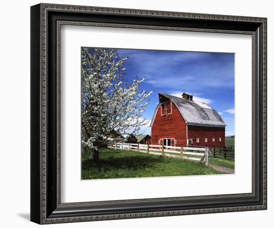 Barn, Ellensburg, Washington, USA-Charles Gurche-Framed Photographic Print