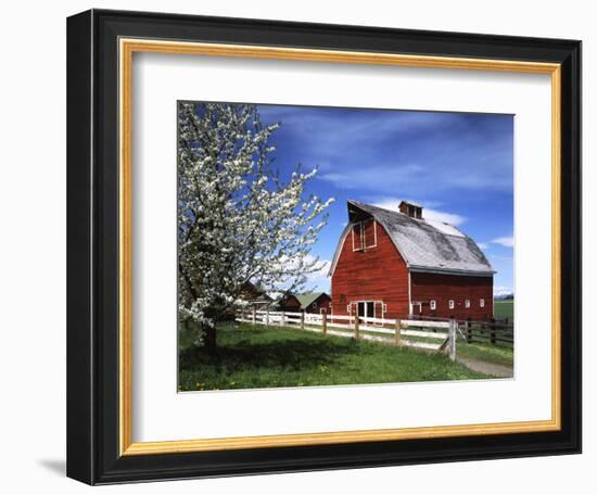 Barn, Ellensburg, Washington, USA-Charles Gurche-Framed Photographic Print