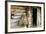 Barn Exterior, Varska, Estonia, Baltic States-Nico Tondini-Framed Photographic Print