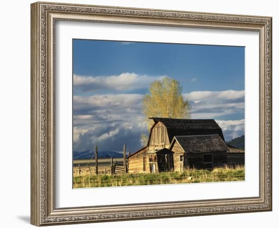 Barn, Grand Teton National Park, Wyoming, Usa-Adam Jones-Framed Photographic Print