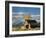 Barn, Grand Teton National Park, Wyoming, Usa-Adam Jones-Framed Photographic Print