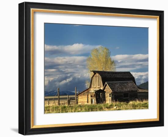 Barn, Grand Teton National Park, Wyoming, Usa-Adam Jones-Framed Photographic Print