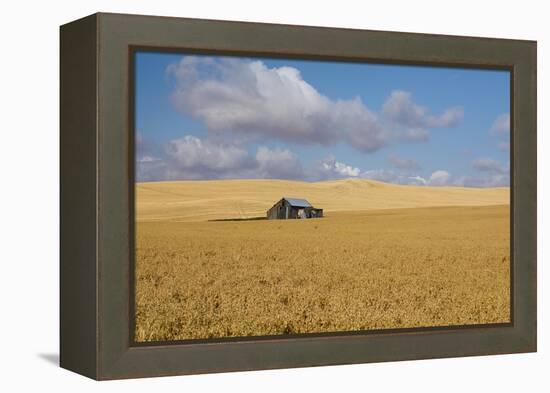 Barn in a field, Moscow, Idaho, USA-Panoramic Images-Framed Premier Image Canvas