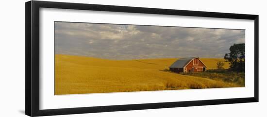 Barn in a Wheat Field, Palouse, Washington State, USA-null-Framed Photographic Print