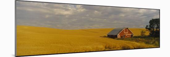 Barn in a Wheat Field, Palouse, Washington State, USA-null-Mounted Photographic Print