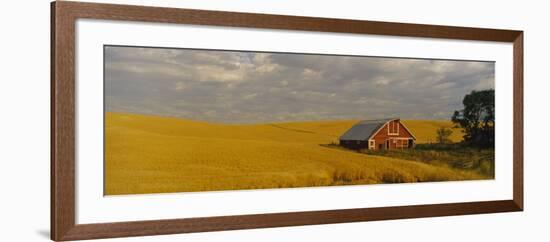 Barn in a Wheat Field, Palouse, Washington State, USA-null-Framed Photographic Print