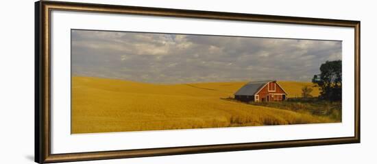 Barn in a Wheat Field, Palouse, Washington State, USA-null-Framed Photographic Print