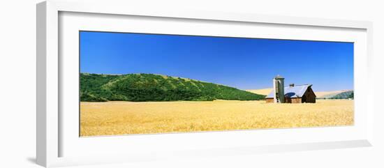 Barn in a Wheat Field, Washington State, USA-null-Framed Photographic Print