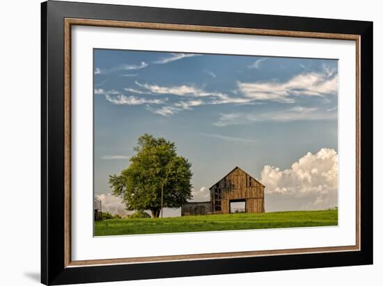 Barn in afternoon light, Kentucky-Adam Jones-Framed Photographic Print