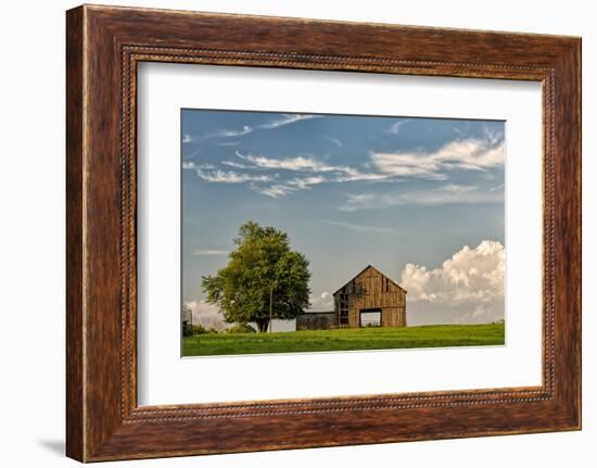 Barn in afternoon light, Kentucky-Adam Jones-Framed Photographic Print