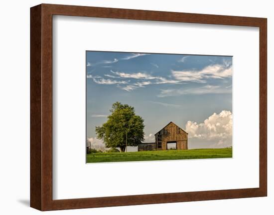 Barn in afternoon light, Kentucky-Adam Jones-Framed Photographic Print