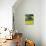 Barn in Canola Field, Idaho-Darrell Gulin-Photographic Print displayed on a wall