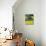 Barn in Canola Field, Idaho-Darrell Gulin-Mounted Photographic Print displayed on a wall