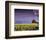 Barn in Daffodils-Ike Leahy-Framed Photo