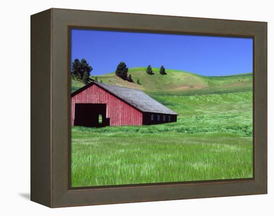 Barn in Field of Wheat, Palouse Area, Washington, USA-Janell Davidson-Framed Premier Image Canvas