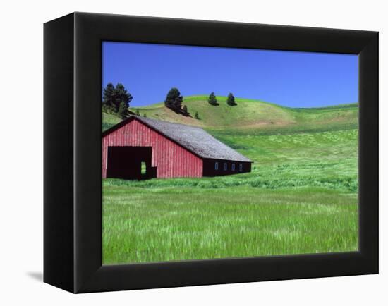 Barn in Field of Wheat, Palouse Area, Washington, USA-Janell Davidson-Framed Premier Image Canvas