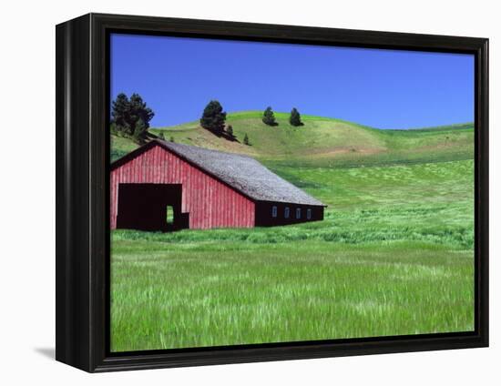 Barn in Field of Wheat, Palouse Area, Washington, USA-Janell Davidson-Framed Premier Image Canvas