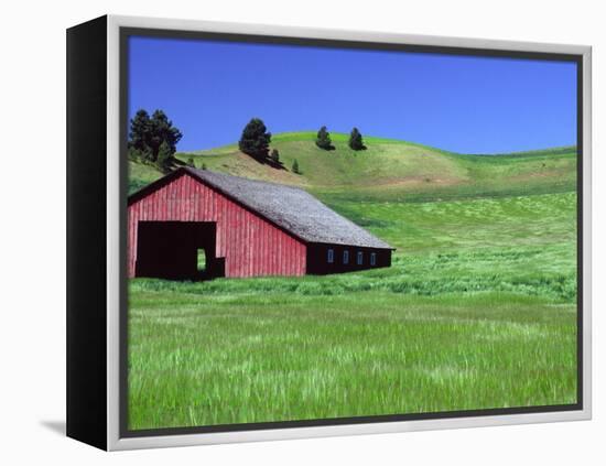 Barn in Field of Wheat, Palouse Area, Washington, USA-Janell Davidson-Framed Premier Image Canvas