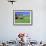 Barn in Field of Wheat, Palouse Area, Washington, USA-Janell Davidson-Framed Photographic Print displayed on a wall