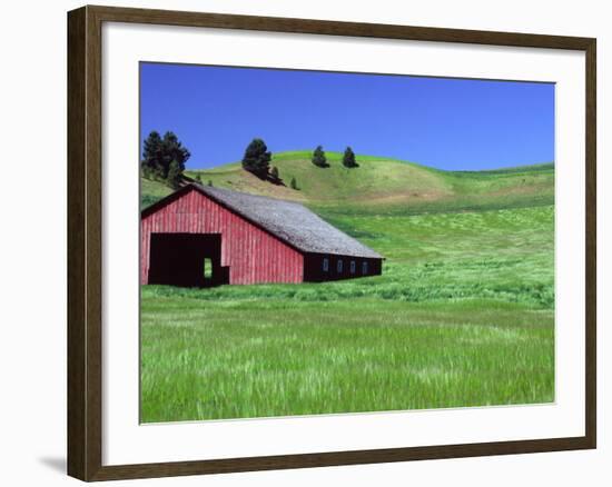 Barn in Field of Wheat, Palouse Area, Washington, USA-Janell Davidson-Framed Photographic Print