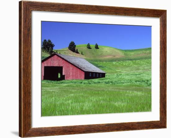 Barn in Field of Wheat, Palouse Area, Washington, USA-Janell Davidson-Framed Photographic Print