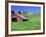 Barn in Field of Wheat, Palouse Area, Washington, USA-Janell Davidson-Framed Photographic Print