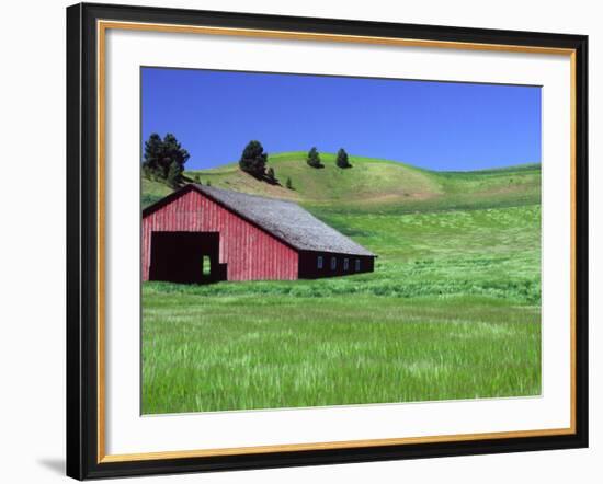 Barn in Field of Wheat, Palouse Area, Washington, USA-Janell Davidson-Framed Photographic Print