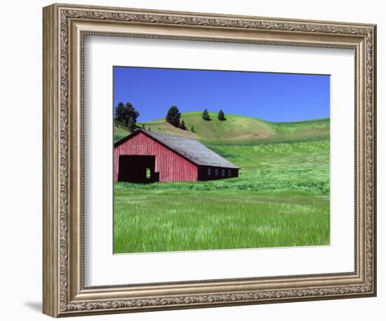 Barn in Field of Wheat, Palouse Area, Washington, USA-Janell Davidson-Framed Photographic Print