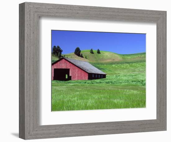 Barn in Field of Wheat, Palouse Area, Washington, USA-Janell Davidson-Framed Photographic Print