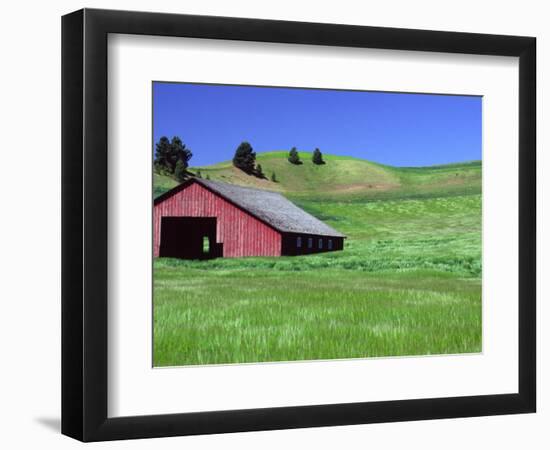 Barn in Field of Wheat, Palouse Area, Washington, USA-Janell Davidson-Framed Photographic Print