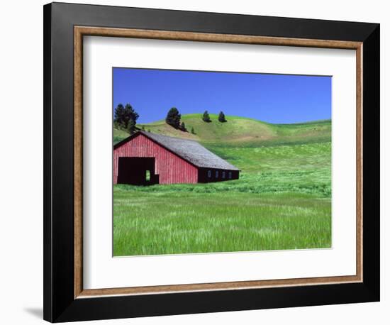 Barn in Field of Wheat, Palouse Area, Washington, USA-Janell Davidson-Framed Photographic Print