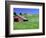 Barn in Field of Wheat, Palouse Area, Washington, USA-Janell Davidson-Framed Photographic Print